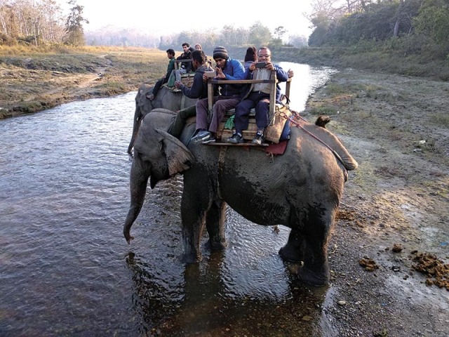 CNP elephant ride